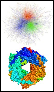 mass spectrometry based strucural proteomics